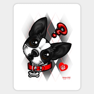 Boston Terrier Argyle Magnet